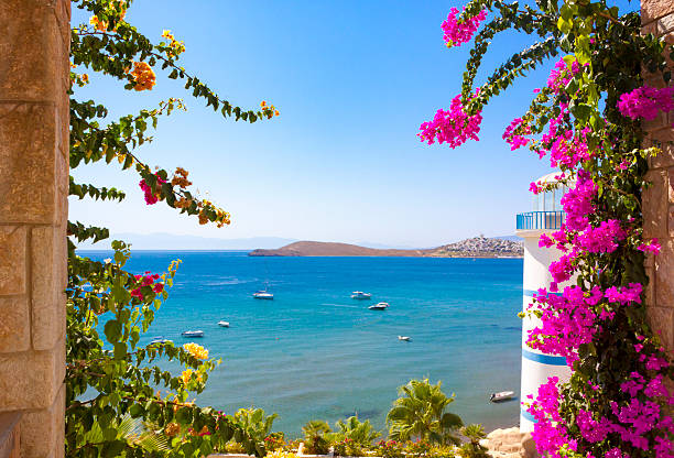 Top Things to Do in Bodrum with Kids