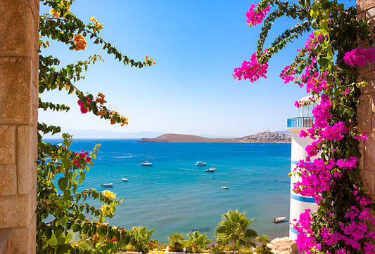 Top Things to Do in Bodrum with Kids