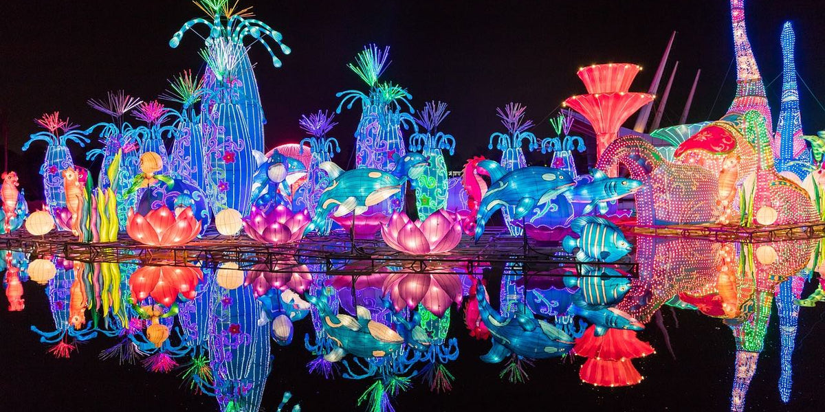 Everything You Should Know About Dubai Garden Glow: Location, How to Reach, Tips & Ticket Prices!