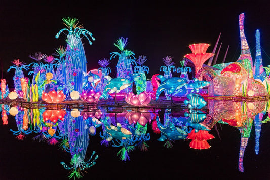 Everything You Should Know About Dubai Garden Glow: Location, How to Reach, Tips & Ticket Prices!