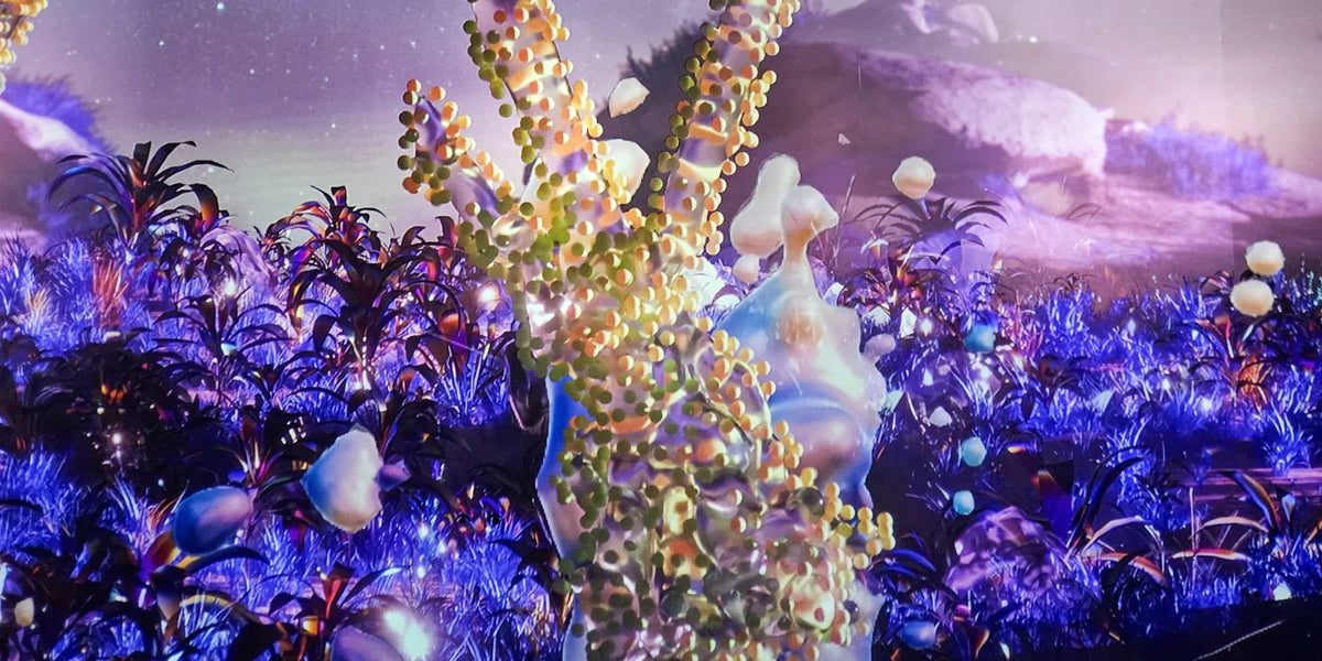 A Thorough Dubai AYA Universe Guide: Location, Ticket Prices, How to Get There?