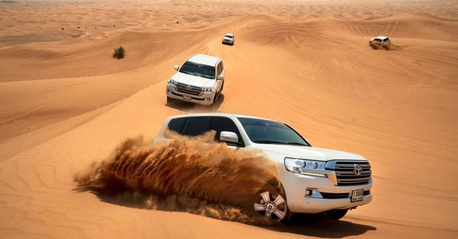Tages- vs. Übernacht-Wüstensafari in Dubai: Der ultimative Vergleich für Ihr Budget