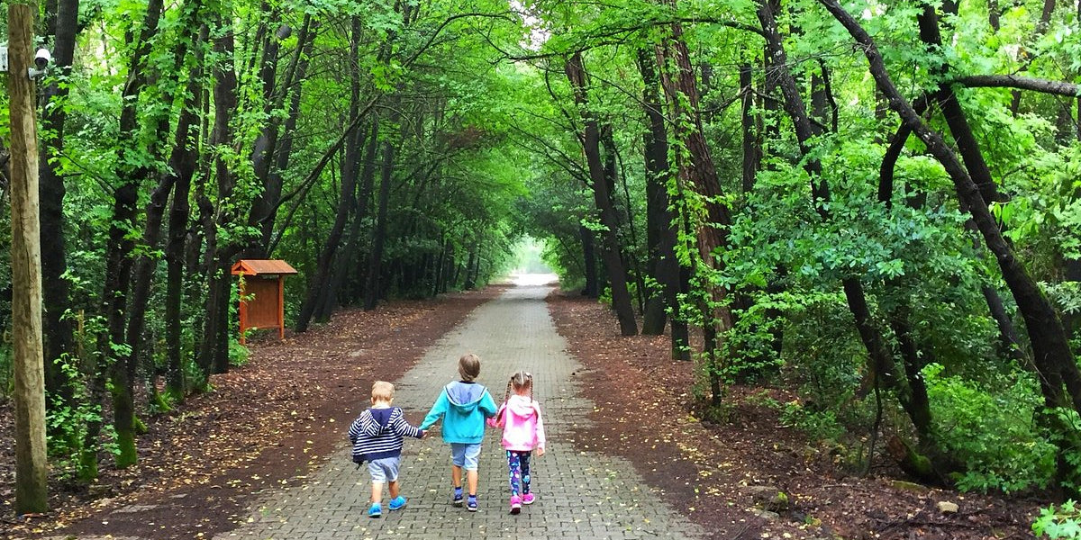 The Beauty of Marmaris National Park: What's Inside and Around