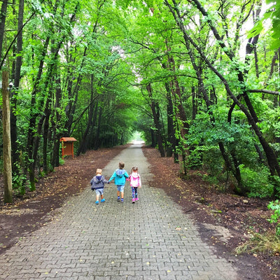 The Beauty of Marmaris National Park: What's Inside and Around