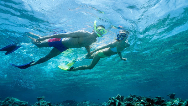 Best Snorkeling Spots in Hurghada: Explore Coral Reefs & Marine Life