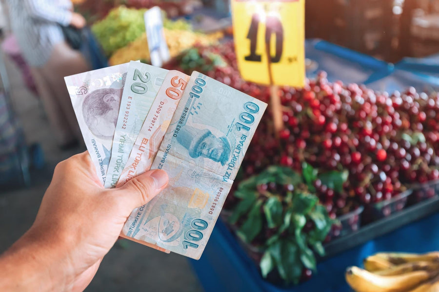 Währung in Alanya:day-trips-from-alanya Wie viel kostet das Reisen und praktische Reisetipps
