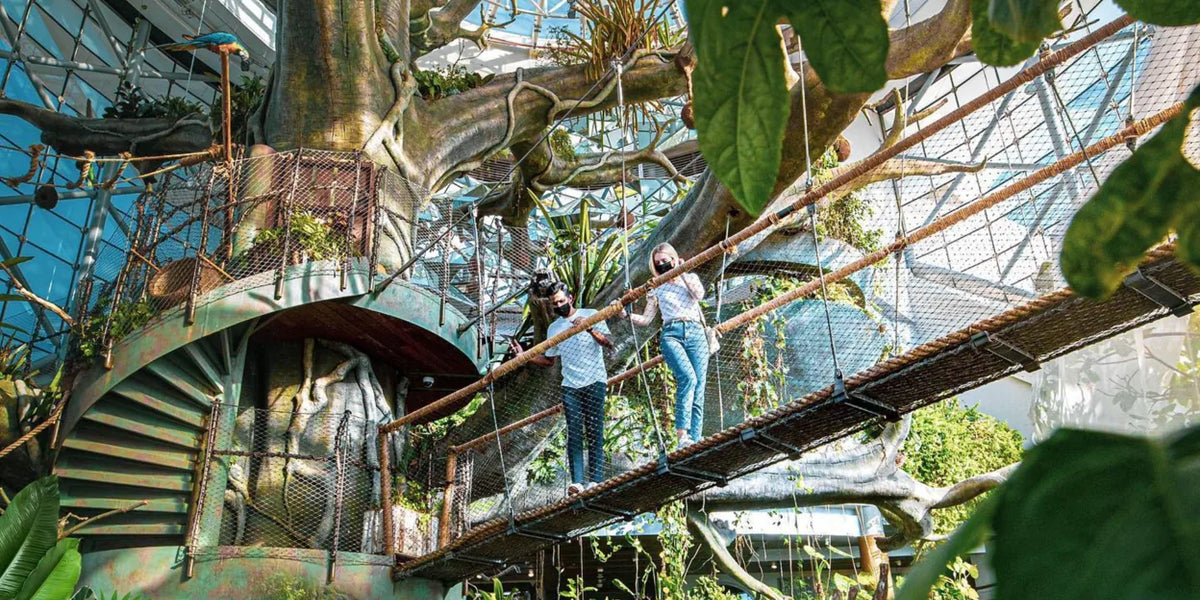 Everything You Should Know About Dubai Green Planet: Location, How to Reach, Insider Tips