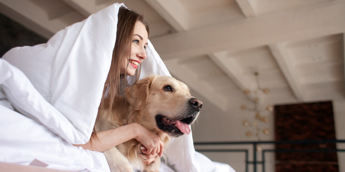 Best Pet-Friendly Hotels in Abu Dhabi