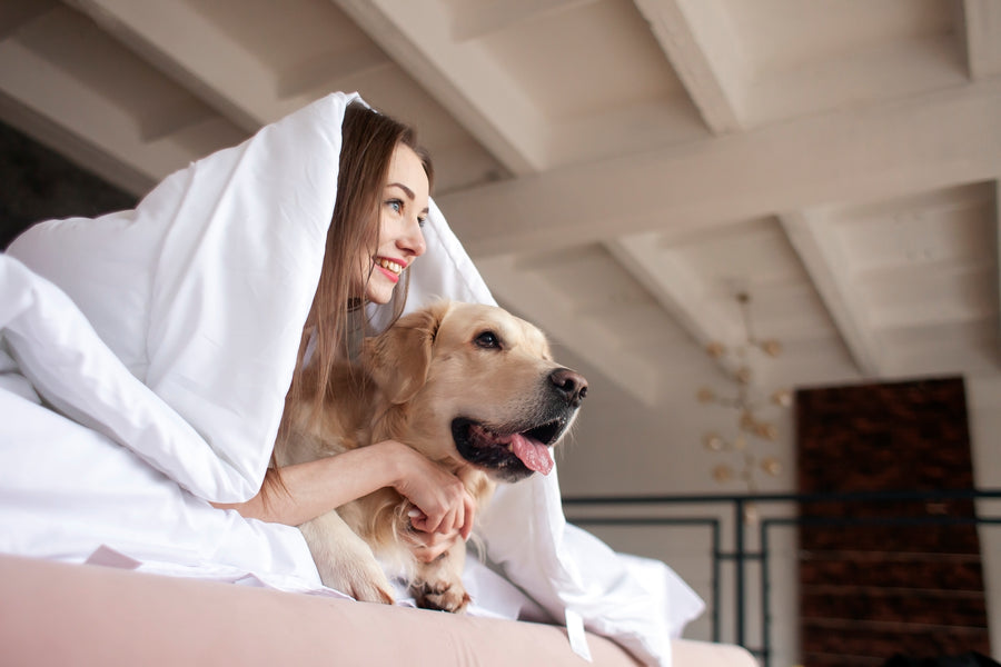 Beste haustierfreundliche Hotels in Abu Dhabi