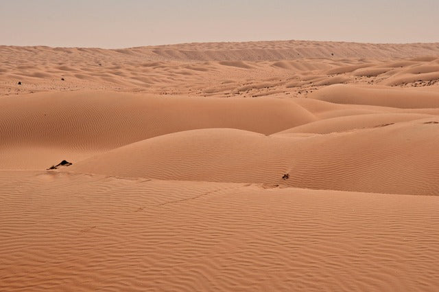 Muscat Day Trips