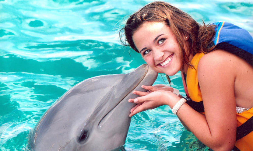 Sidesvømning med delfiner med eksperttrænere og transport