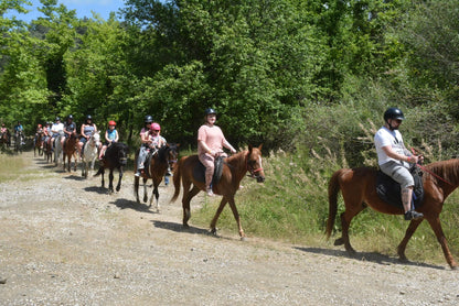 Конные прогулки в горах Мармарис 