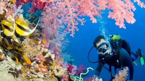 Kemer Scuba Diving