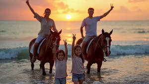 Sharm El Sheikh Horse Riding