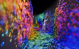 Girl in TeamLab Phenomena Abu Dhabi