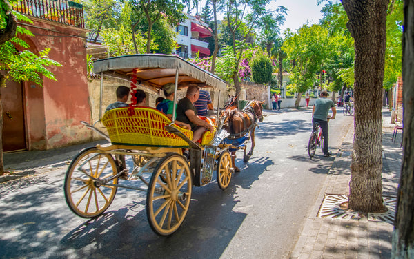 Однодневная поездка на Принцевые острова в Стамбул с обедом и трансфером