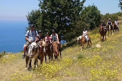 Kemer Horseback Riding Tour with Roundtrip Transfer