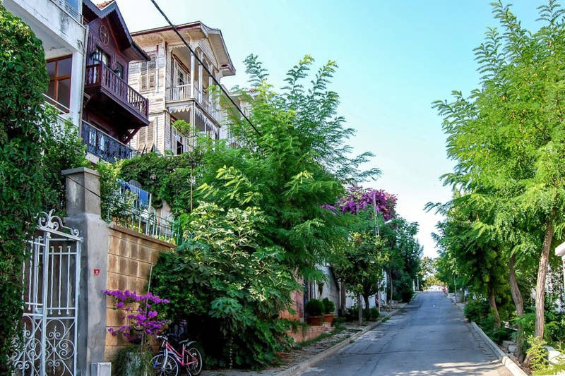 Istanbul Princess Islands Day Trip: Büyükada Turları