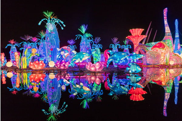 Dubai'de popüler bir cazibe merkezi olan Garden Glow