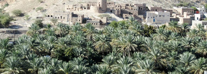 Full Day Trip to Bahla and Misfat Al Abryeen From Muscat