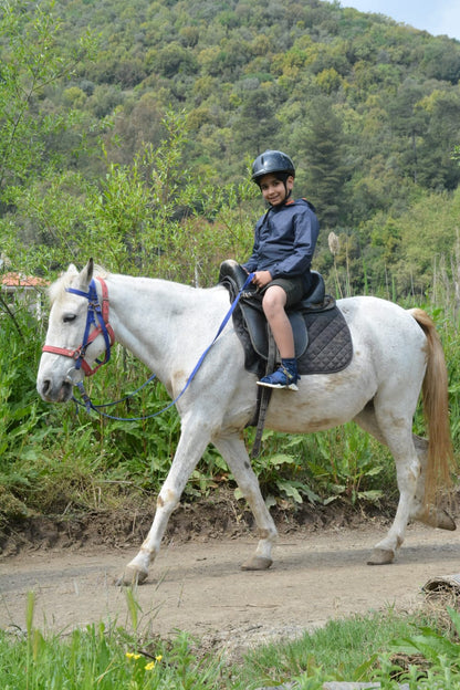 Конные прогулки в горах Мармарис 