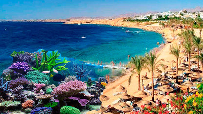 Sharm El sheikh Half Day City Tour with Private Car