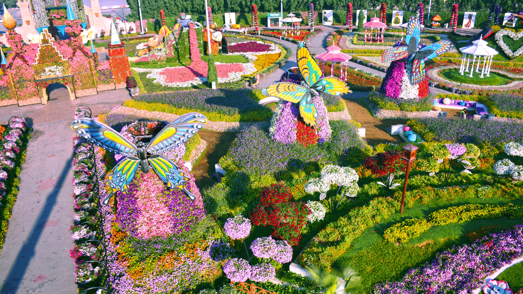 Dubai Miracle Garden with Butterfly Garden