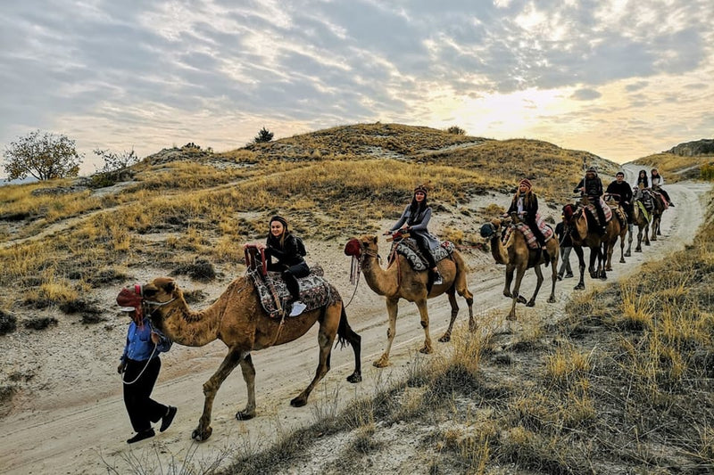 Cappadocia Camel Riding Tour