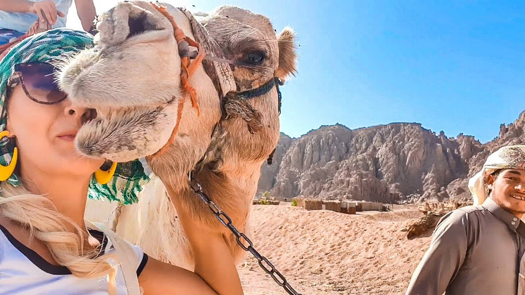 Sharm El Sheikh Quad Bike Safari med beduinmiddag og show