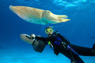 Girl Scuba Diving