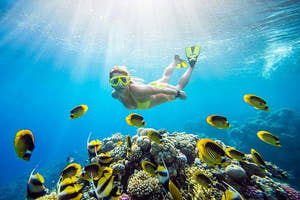 Hurghada Snorkeling Day Trip to Giftun Island with Lunch