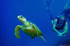 Kusadasi Scuba Diving