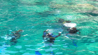 Marmaris İki Dalışlı Tüplü Dalış, Öğle Yemeği ve Transfer Dahil