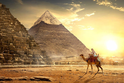 Cairo Day Tour To Giza Pyramids with Camel Ride and Egyptian Museum