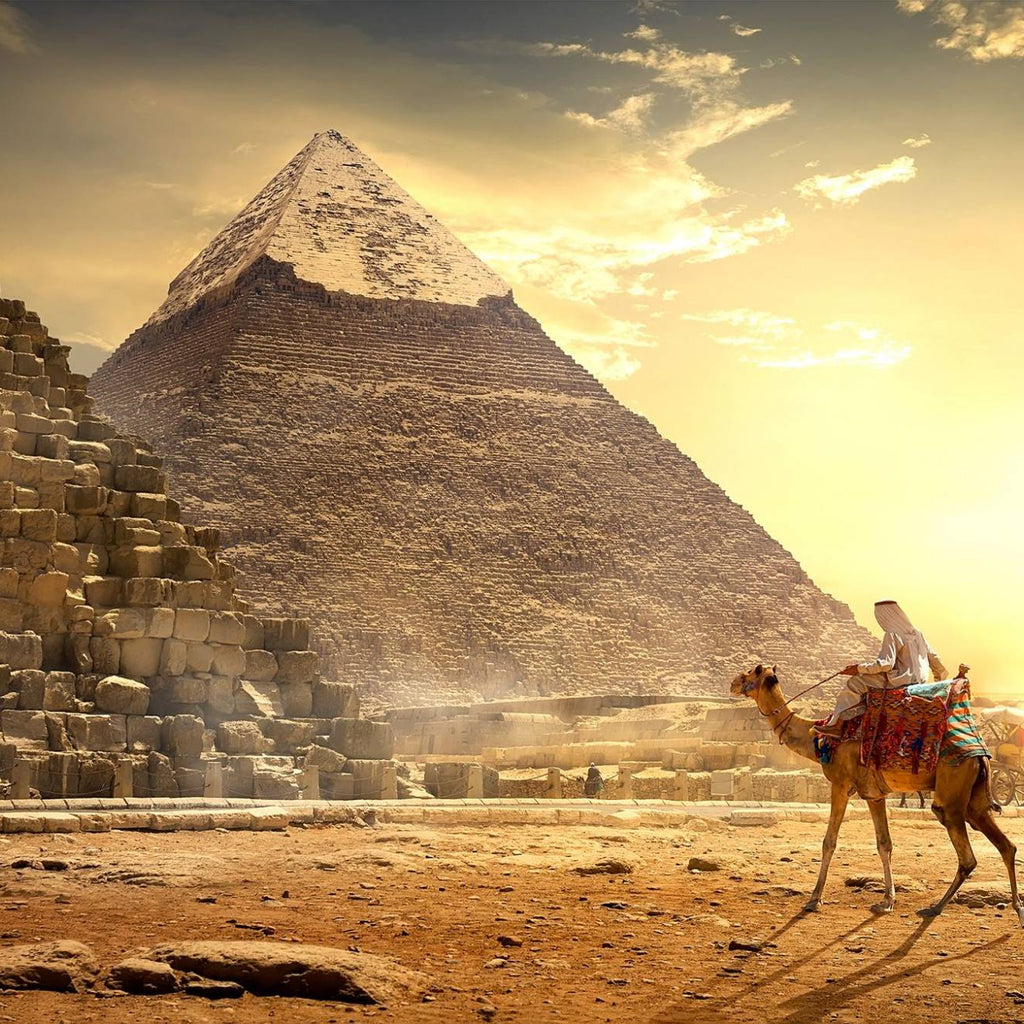 Cairo Day Tour To Giza Pyramids with Camel Ride and Egyptian Museum