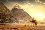 Cairo Day Tour To Giza Pyramids with Camel Ride and Egyptian Museum