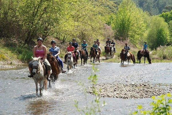 Bodrum Horse Riding Tour with Roundtrip Transfer