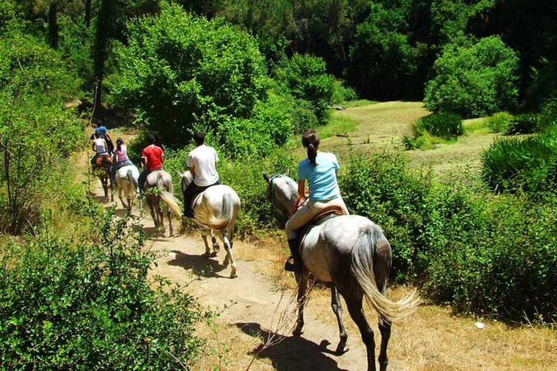 Bodrum Horse Riding Tour