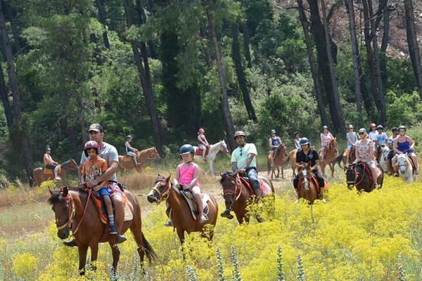 Bodrum Horse Riding Tour with Roundtrip Transfer