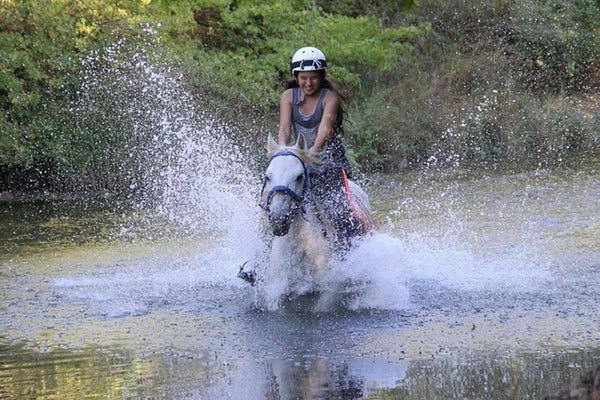 Bodrum Horse Riding Tour with Roundtrip Transfer