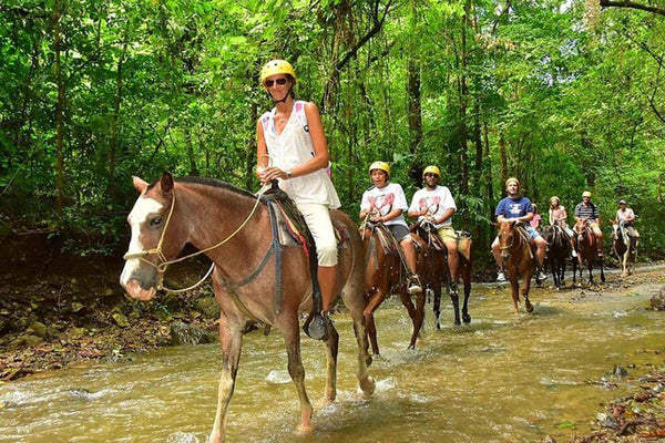 Bodrum Horse Riding Tour with Roundtrip Transfer