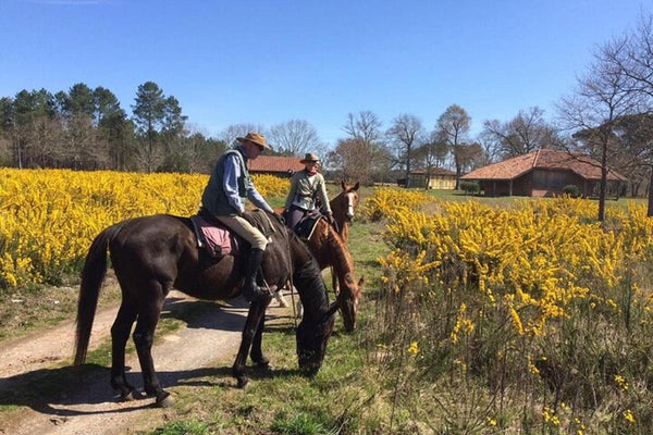 Bodrum Horse Riding Tour with Roundtrip Transfer