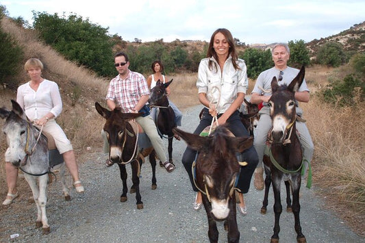 Alanya Donkey Safari and Village Tour with BBQ Lunch and Roundtrip Transfer