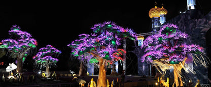 Dubai Garden Glow, a unique theme park in Dubai