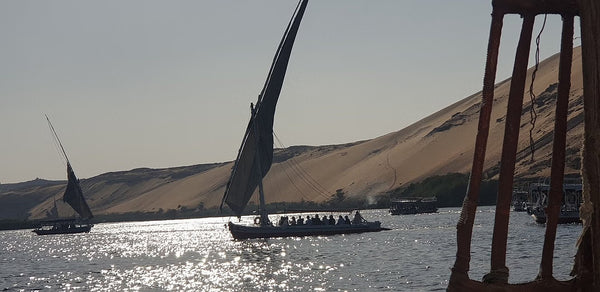 Aswan Private tour to Botanical garden with Felucca ride Nile River