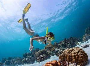 Sharm El Sheikh Snorkelling Trip in Tiran Island by Boat