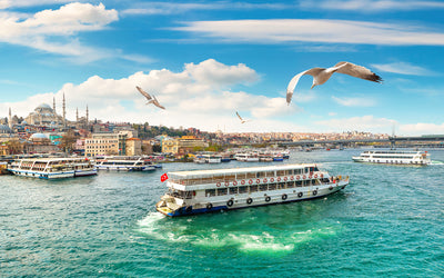 Istanbul Bosphorus Sightseeing Cruise with Audio Guide