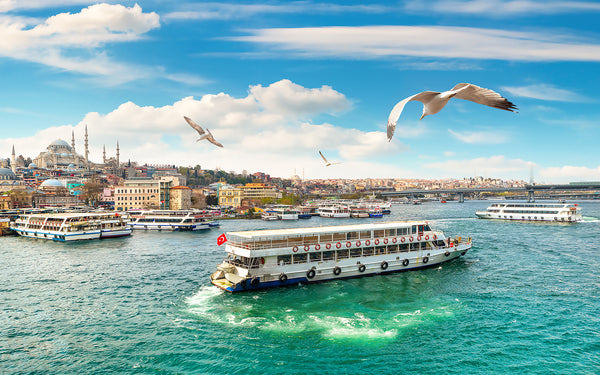 Istanbul Bosphorus Sightseeing Cruise with Audio Guide