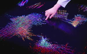Sztuka w TeamLab Phenomena Abu Dhabi