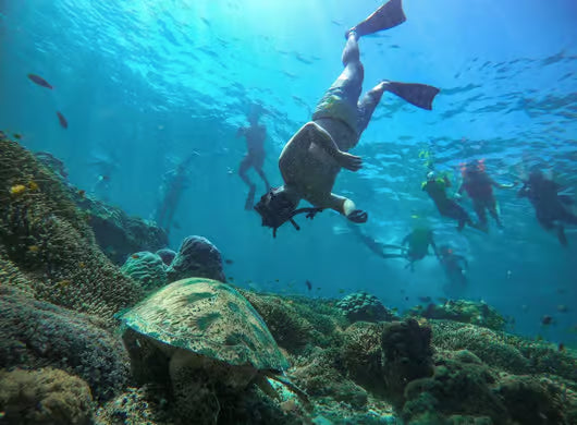 Sharm El Sheikh Ras Mohamed, White Island Snorkel And Dive With Lunch